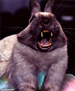 Scary-Rabbit-with-Teeth--55865